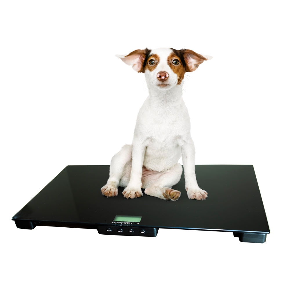 commercial digital scales_digital platform scales