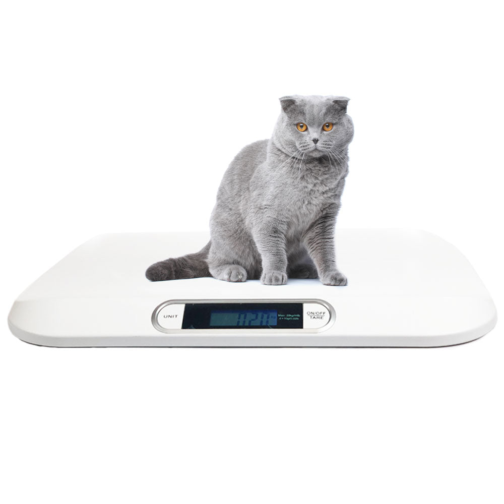 digital scale floor platform_vet scale