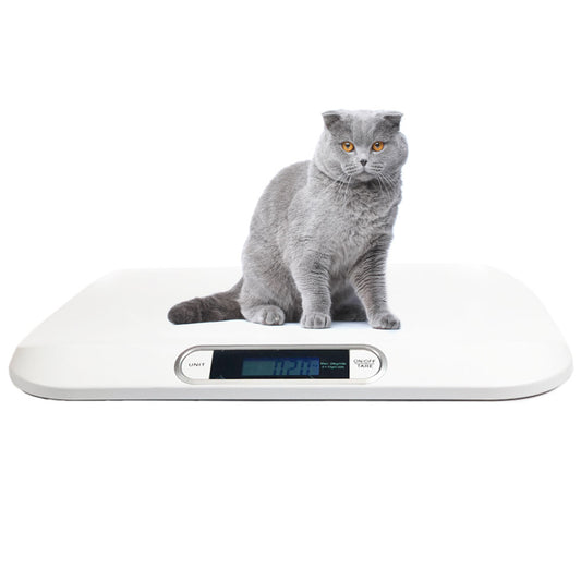 digital scale floor platform_vet scale