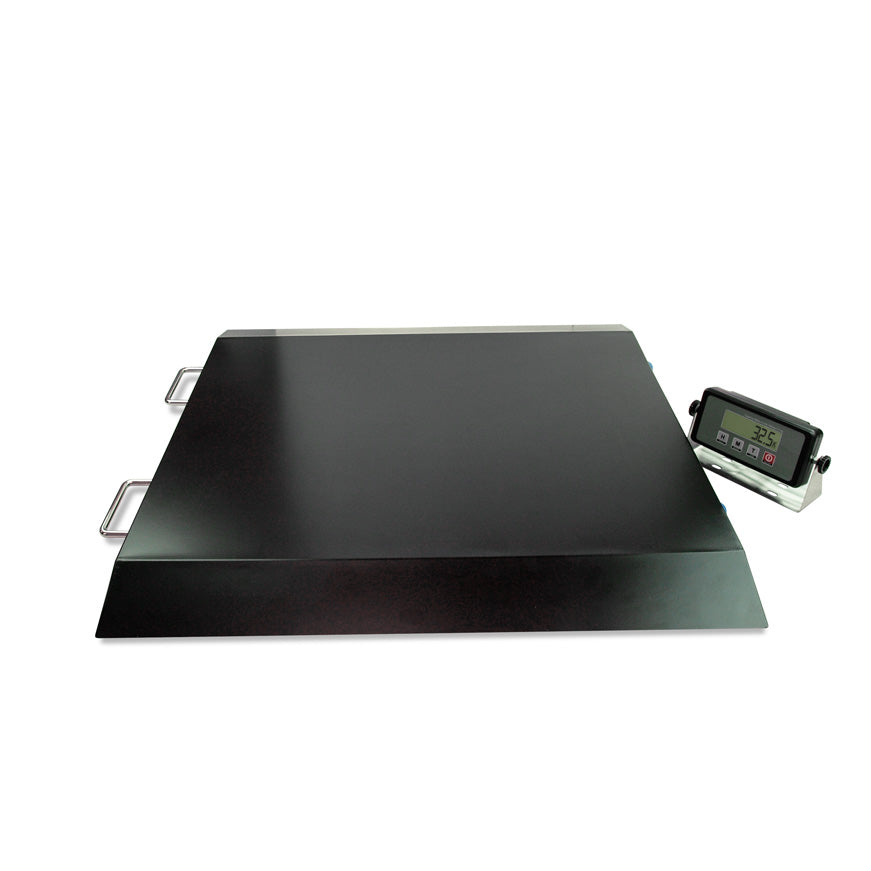 ramps for wheelchairs_wheelchair ramp