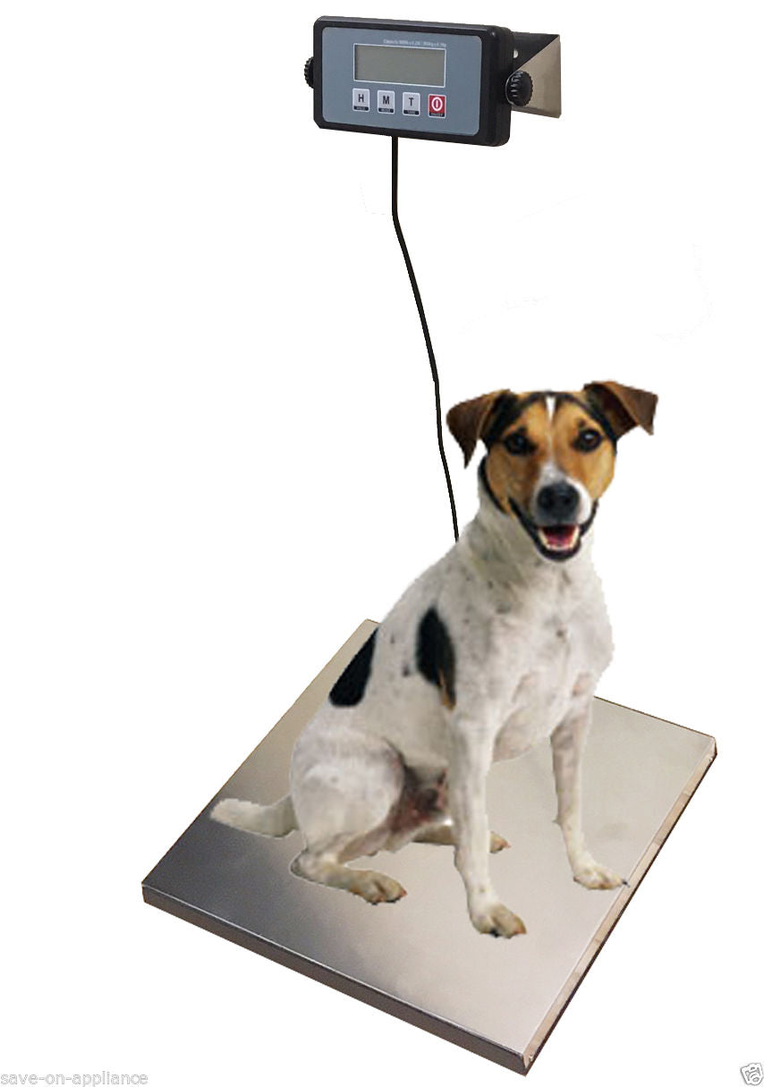 400 Pound Capacity Large Platform Shipping Scale Digital Stainless Steel Postal Floor Bench, for Office Home ( 16.75" x 13.75")